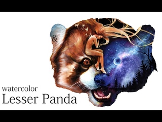Lesser Panda drawing -watercolor painting-speed painting-illustration