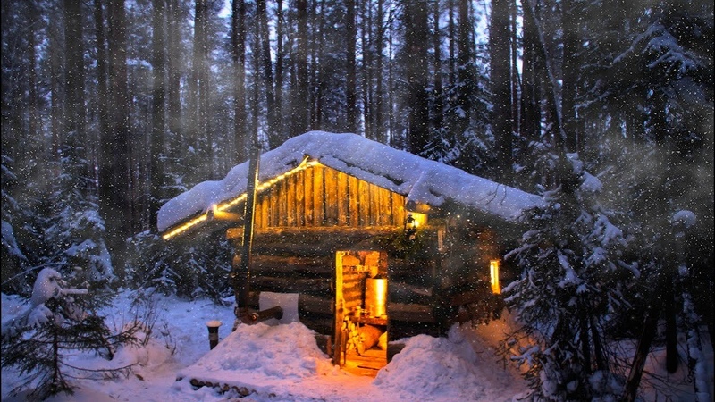 Cabin life: Waiting for the STORM, I hid in a log cabin. FOREST