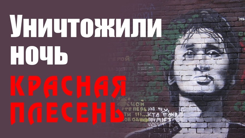 плесень температура. красная плесень памяти виктора цоя 2021. красная плесень памяти тех. красная плесень пираты. плесень памяти.