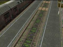 082: Platform Wierzchucin w/two lines (0.30-4.5m) crosswalk 1t