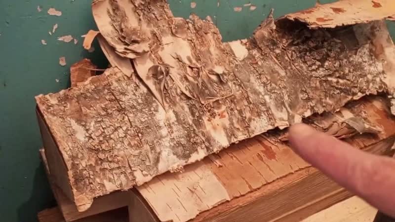 Убегаю от собаки как драть