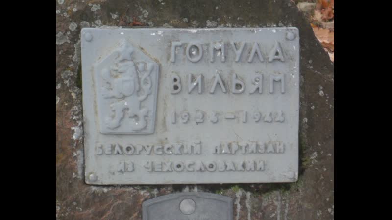 Чехи и словаки на Восточном