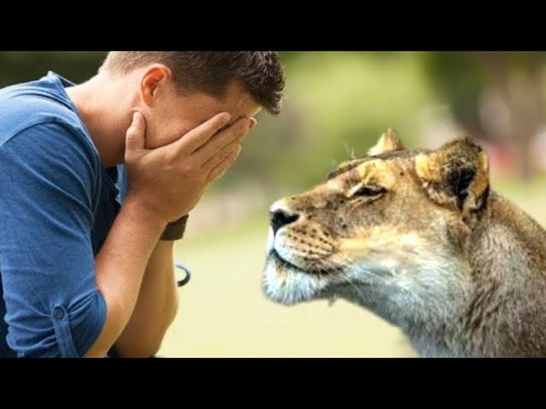 Lhomme na pas pu ignorer la lionne en pleurs, ce quelle a fait ensuite la laissé très