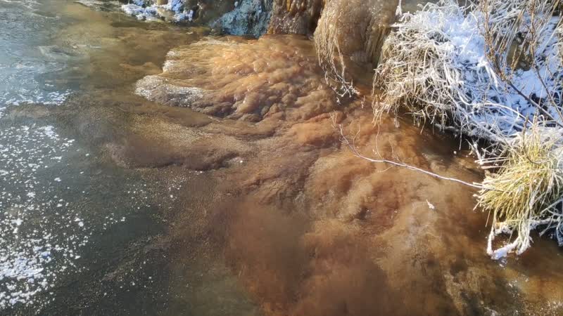 Река вонючая. Вонючая река. Река вонючая. Река воняла. Пермянка река в перми.