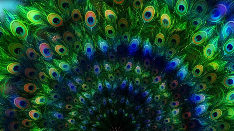 4 K Ethnic Colorful Mandala Background Loops, , Free Video Background Loops, , 4k VJ Loops