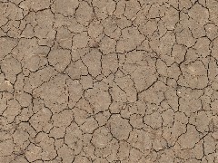 PBR Soil Dried Cracked 04
