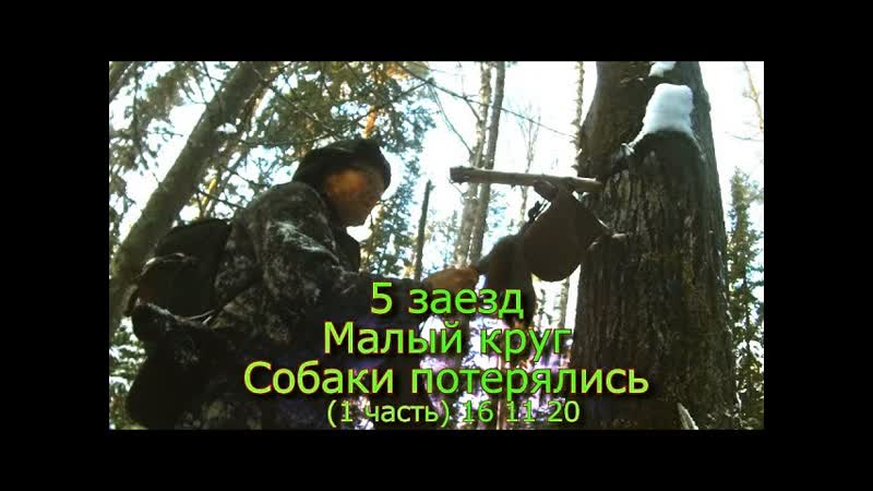 5 заезд Малый круг Потерялись собаки (1 часть) 16 11