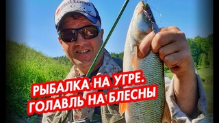 Рыбалка на Угре. Ловля голавля на блесны