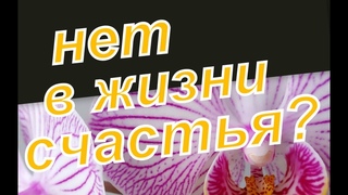 Как стать счастливым?