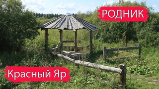 Родник в селе Красный Яр. Ижморский район. Кузбасс
