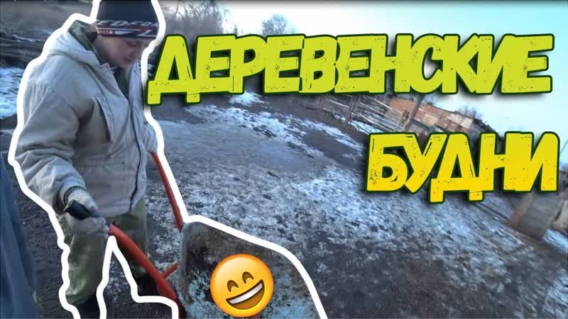 Деревенские будни, , Пополняем запасы, МЯСО, , Гуси на воле, ,
