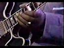 BB King SRV Albert King Paul Butterfield The Sky Is