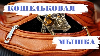 OZON  ТАЛИСМАН КОШЕЛЬКОВАЯ МЫШКА-УШАСТИК - РАСПАКОВКА ПОСЫЛКИ С ОЗОН, ОТЗЫВ