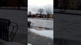 Зима в парке.Калининград.