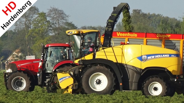 Grass silage, New Holland FR600 + Case + Valtra, Gras hakselen, NAP, Lunteren,