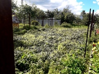 село плешково алтайский край. белая перемышленскогоирацлна. земельный участок кимры. снт труженик ульяновск. снт вишенка кимрский район.