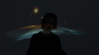 WALPURI - Tulloot linnut MV official music video. Song on the dialect of ingrian finns.