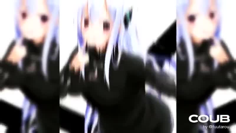 Echidna