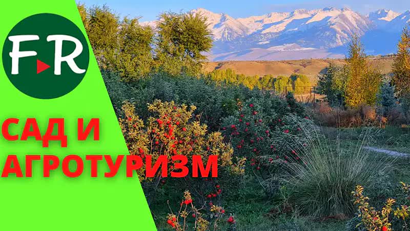 Ферма Рейна Кенч ждёт гостей. Садоводство, агротуризм,