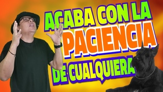 Una raza que acaba con la paciencia de cualquiera | Schnauzer Gigante
