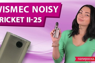 WISMEC Noisy Cricket II-25: теперь безопаснее