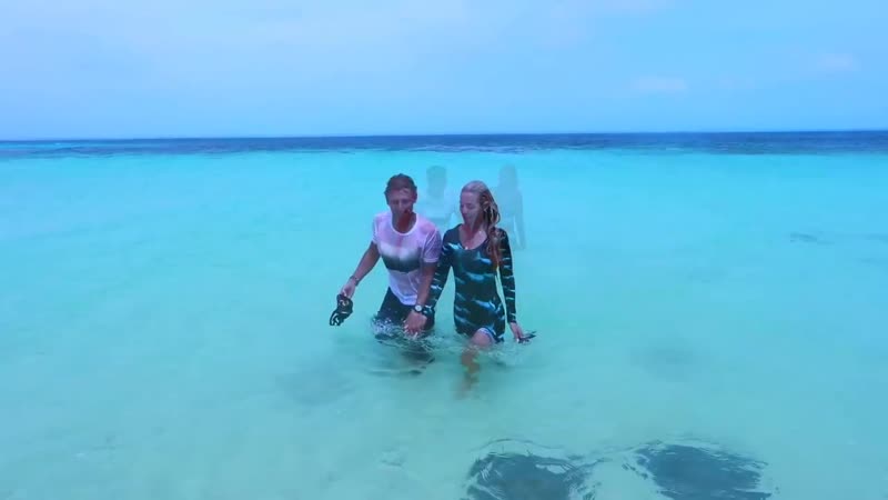 Dancing with Sharks Shark Couple Ocean Ramsey Juan