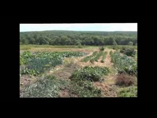 ЭМ-технология для выращивания кроликов, индюков, гусей и др.
