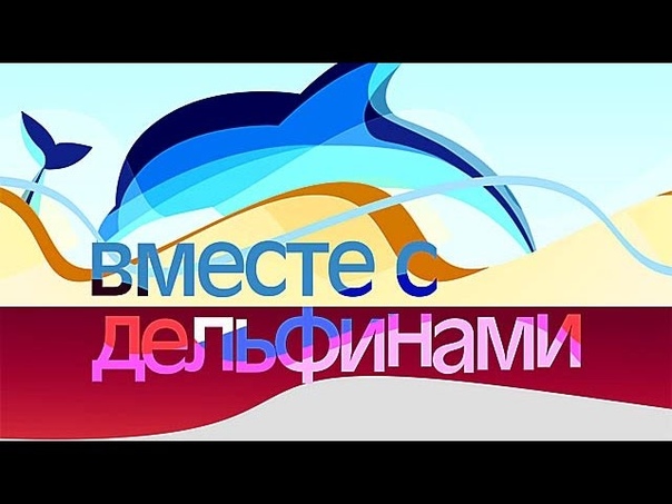 Вместе с дельфинами 1