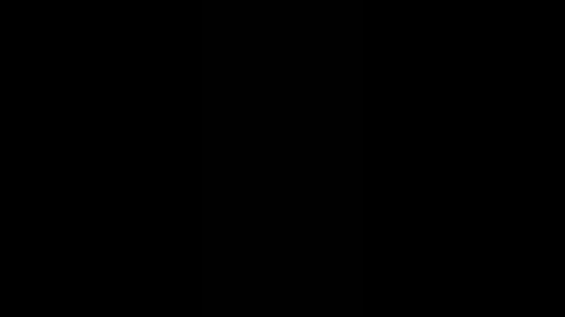 VID_39341022_231655_301.mp4