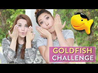 GOLDFISH CHALLENGE! w/ Cassey Ho