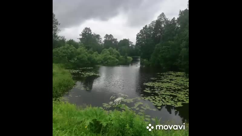 Видео от Кристины