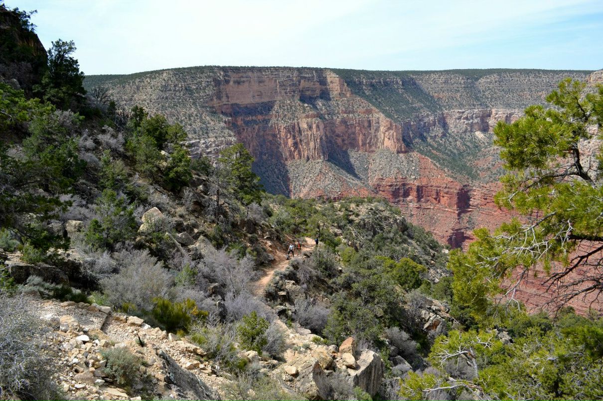 Наталья Корицкая | San Francisco