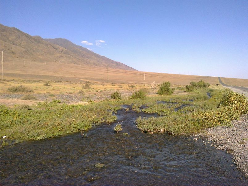 №118, Константин Фазлов, 43 года, Москва, Россия №118, Константин Фазлов, 43 года, Москва, Россия