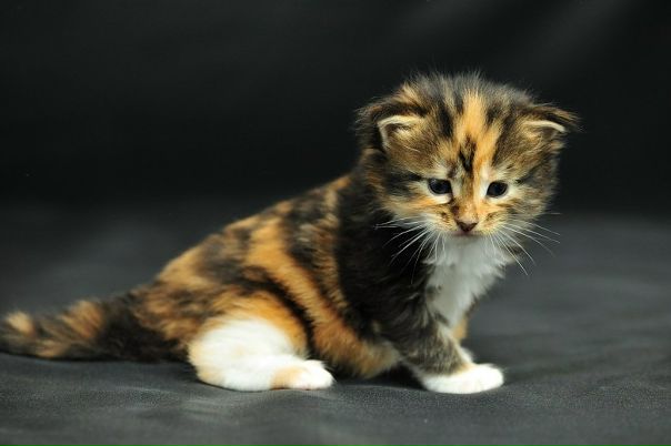 №15, Dani La, Москва №15, Dani La, Москва