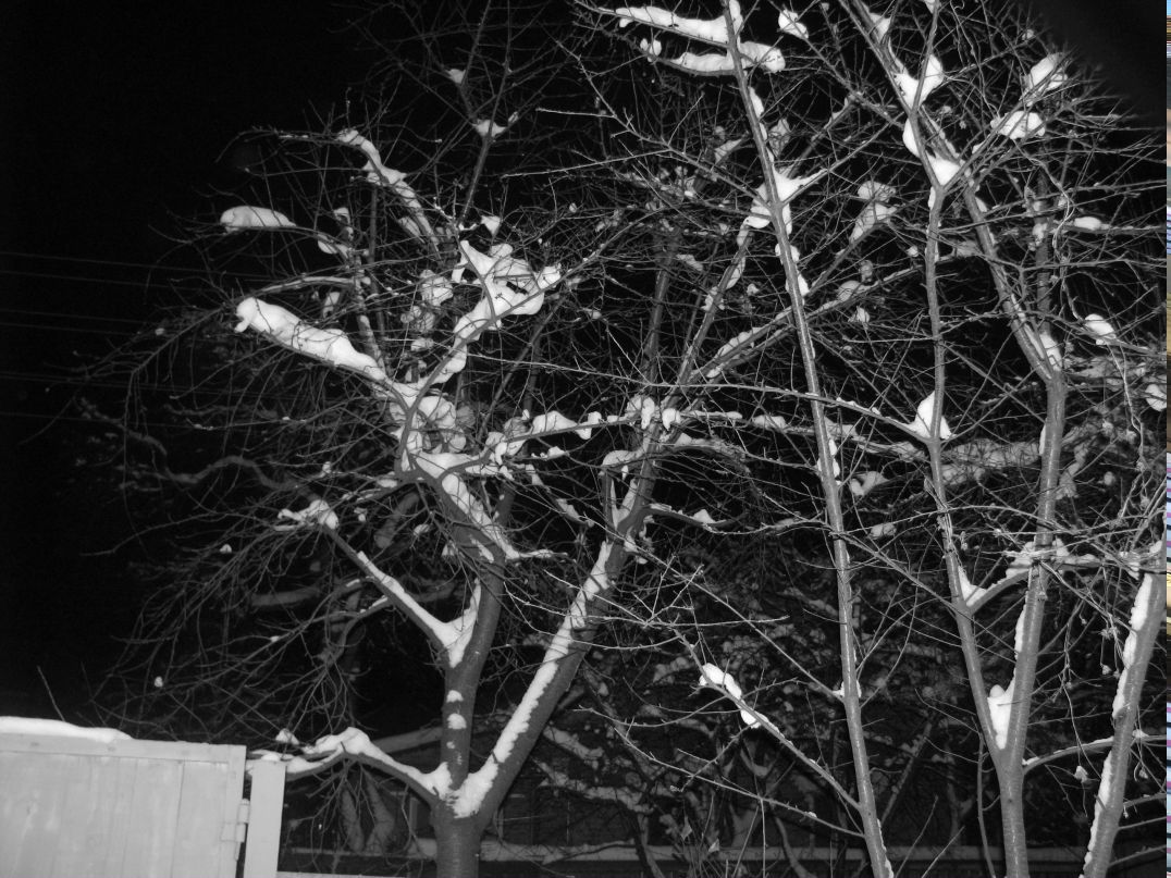 Анна Лисовая Smile | Киев