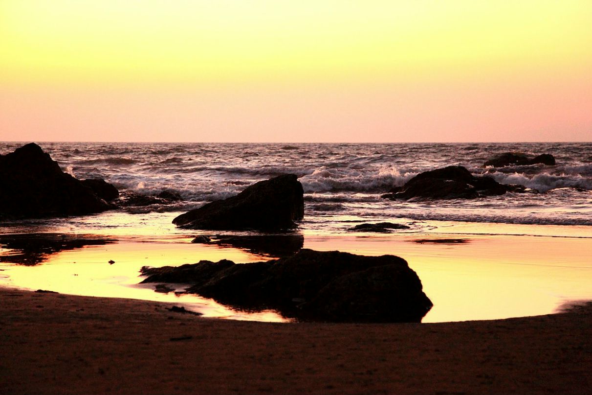 Стёпа Левонович | Минск