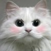Аватар: Эмилия Пруденс