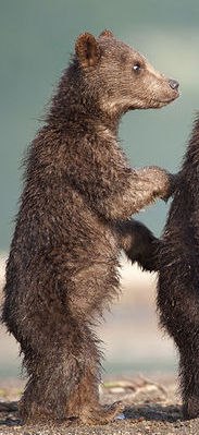 Павел Сурядов | Санкт-Петербург