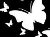 Юлия Мехиляйнен | Joensuu