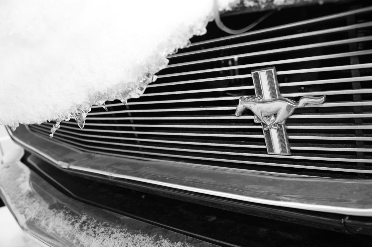 Павел Спирин Молодец | Санкт-Петербург