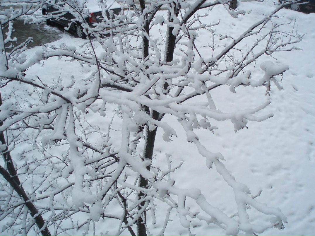 Татьяна Чурдалёва | Владимир