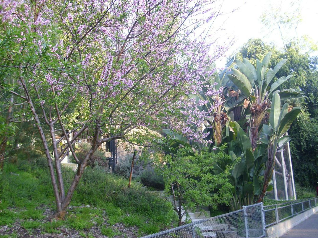 Alexandr Oseev | Magdeburg