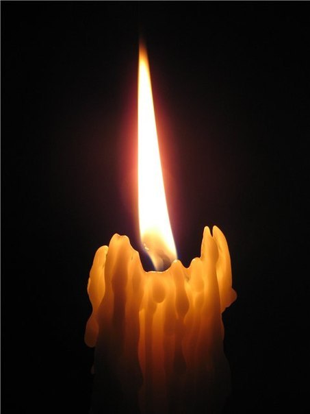 Артем Ткаченко »-------> | Toronto