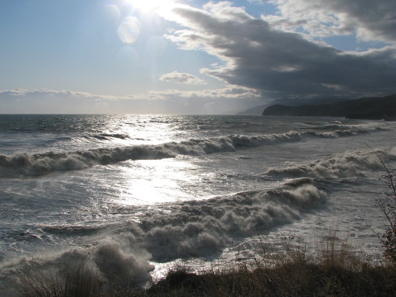 Сафие Халилова | 