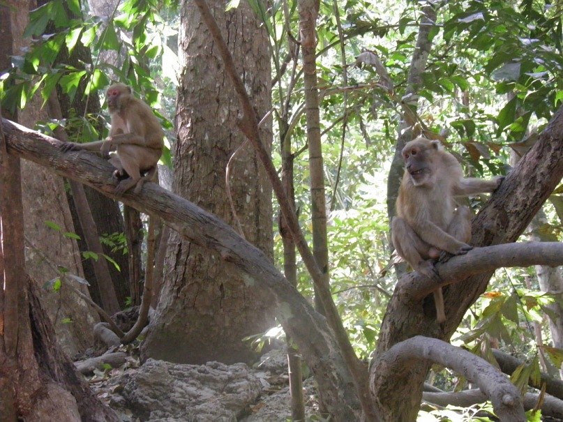 Вероника Мелконян | Тюмень