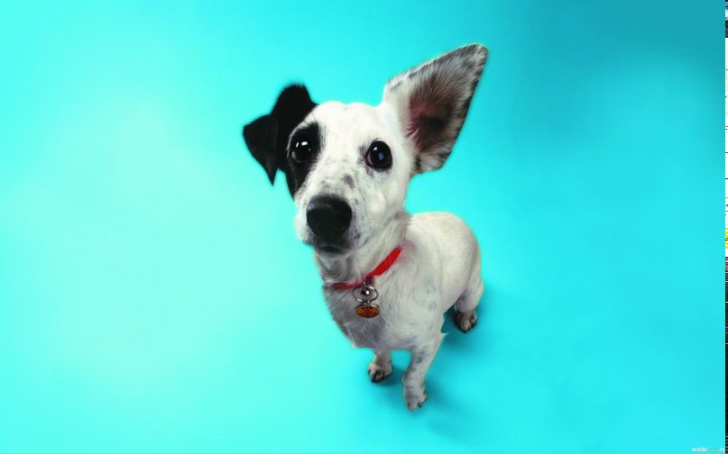 Ирина Бобрецова | Северодвинск