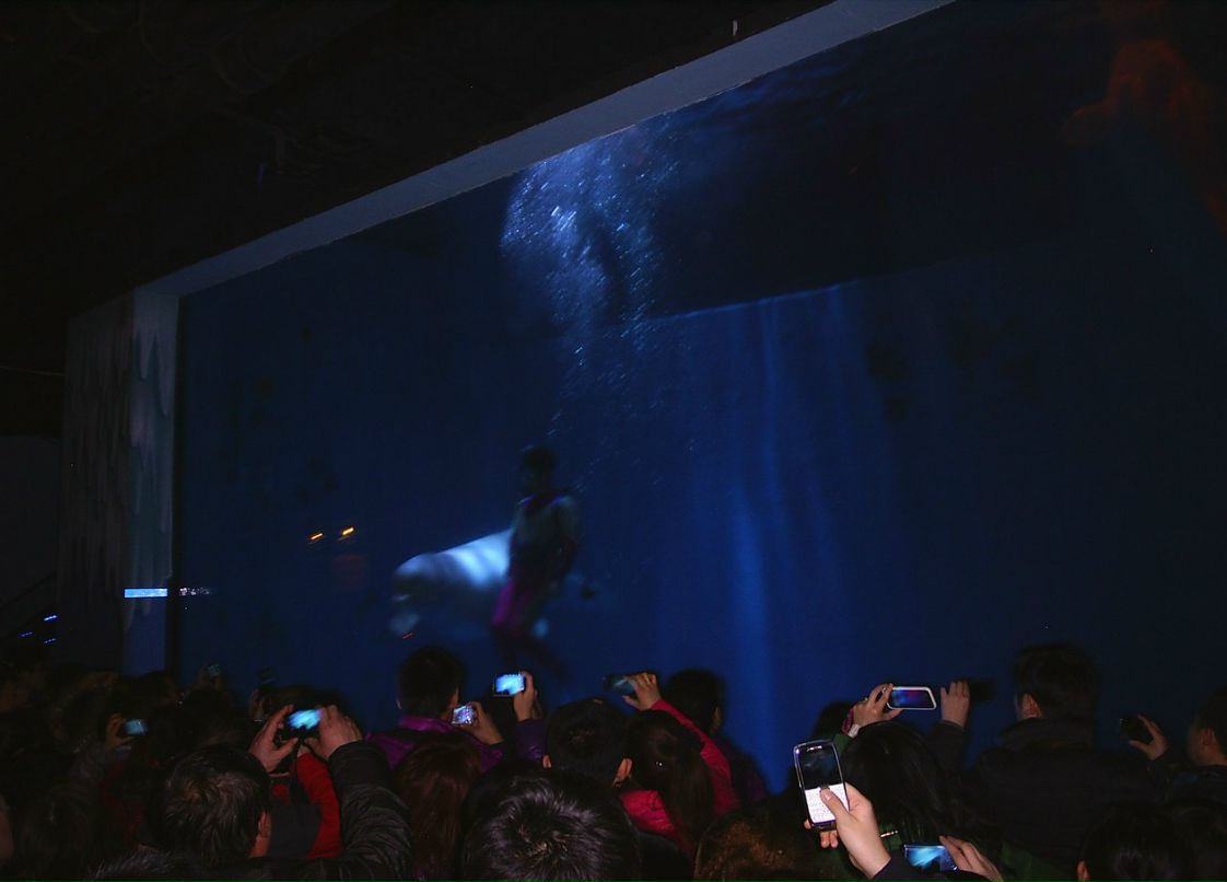 Сергей Пономарев ˙·٠✈ | Новосибирск