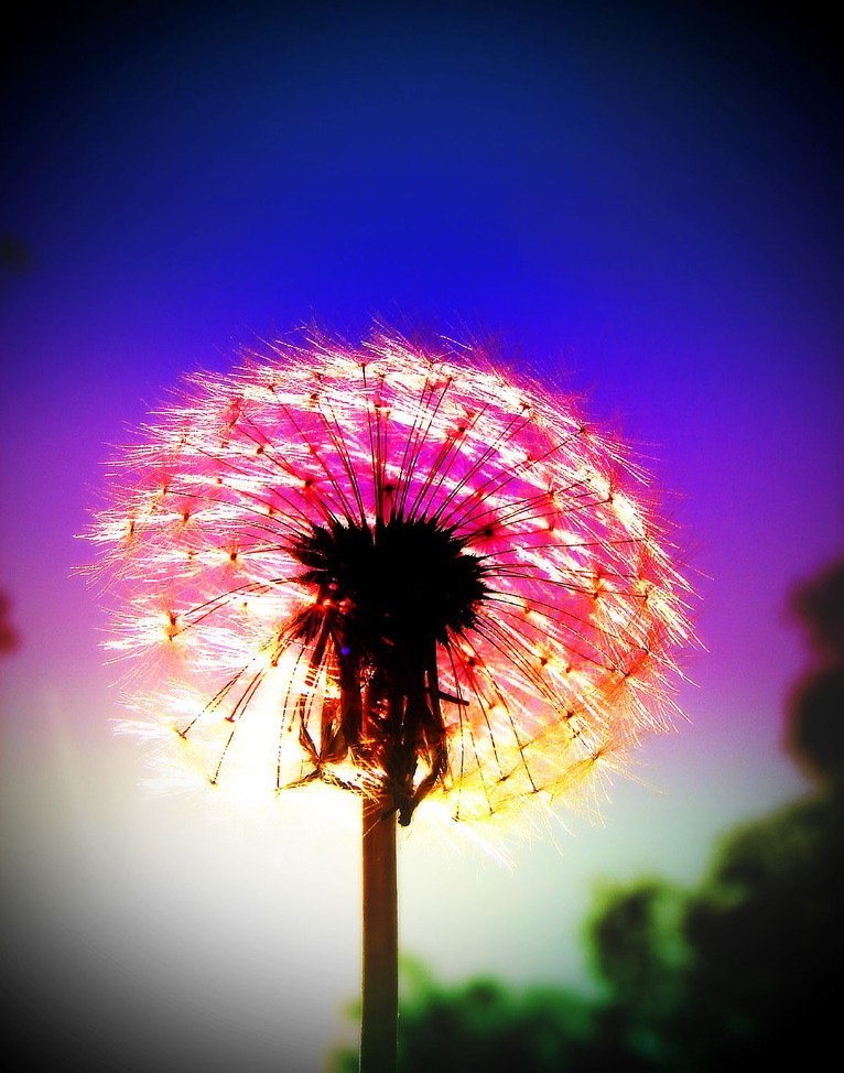 Полина Шатилова | 