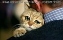 №10 Ольга Загртдинова 10.05: профиль, фото, статус - ВКонтакте №10 Ольга Загртдинова 10.05: профиль, фото, статус - ВКонтакте