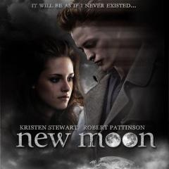 №58, Александр Старин, Харьков №58, Александр Старин, Харьков